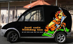 Boarding Cattery Tauranga